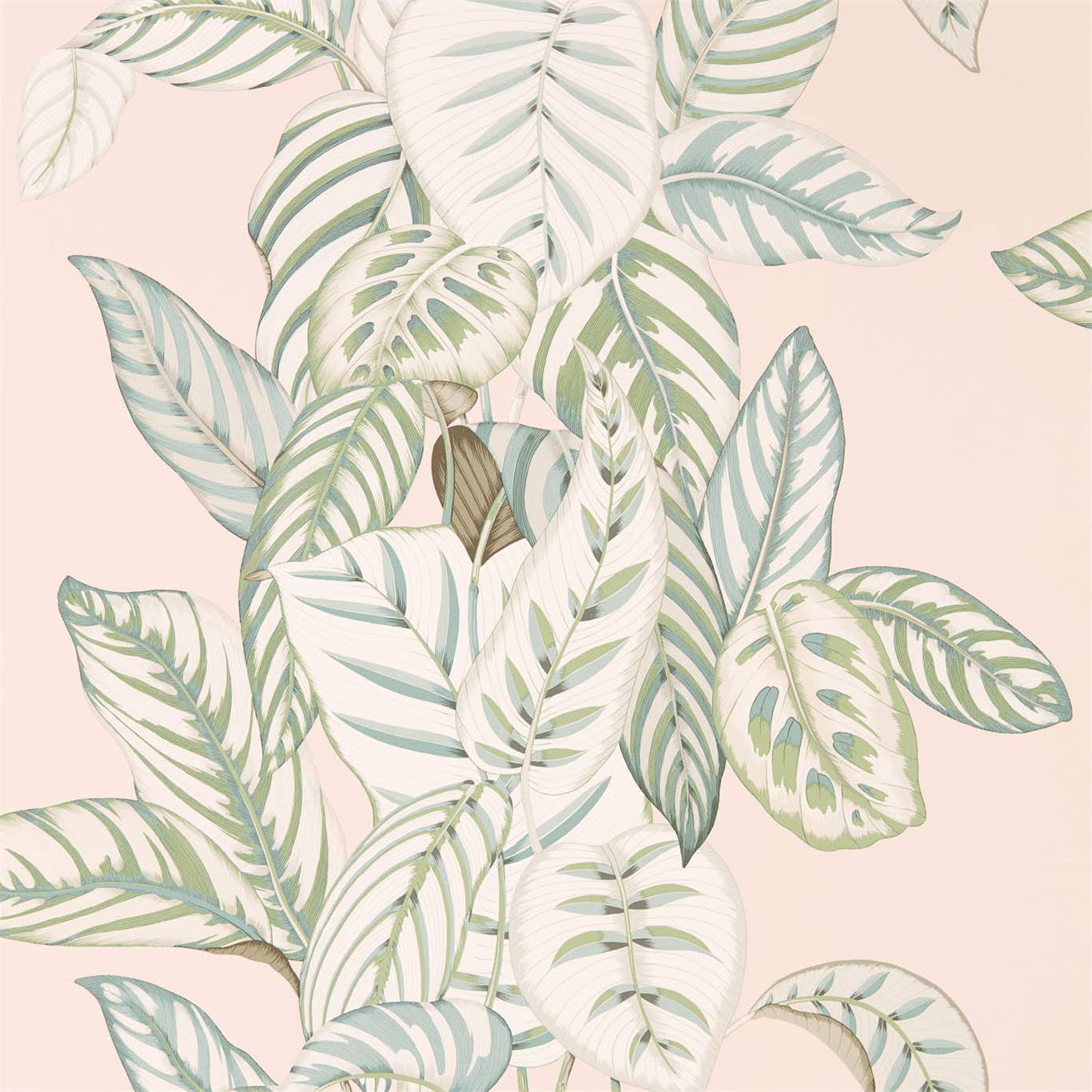 Обои Sanderson The Glasshouse Calathea 216632